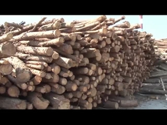 MDF multi-openings production line